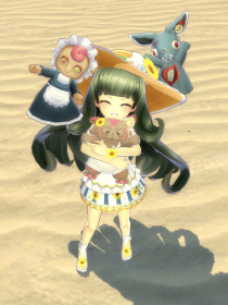 CorsonR_sum_win.png