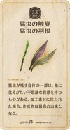 20cd53.png